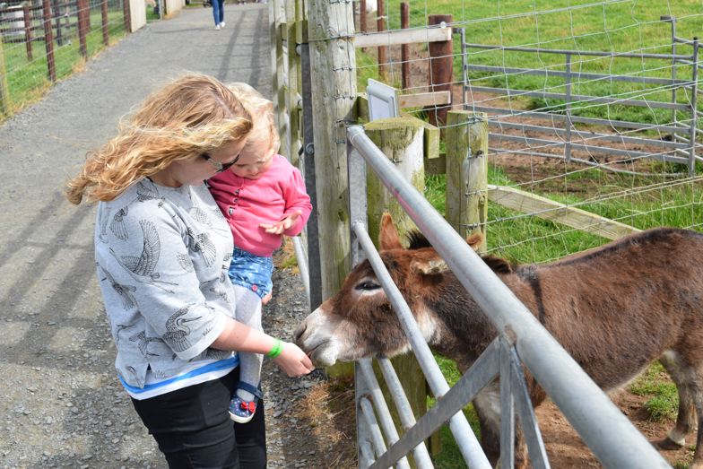 Heads of Ayr Farm Park Review Glasgow With Kids