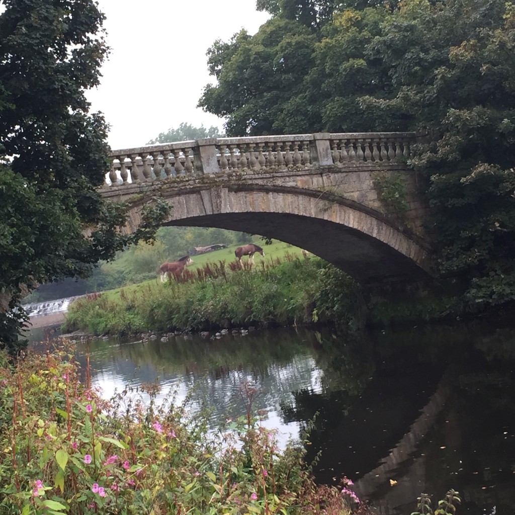 Pollok Country Park Glasgow With Kids