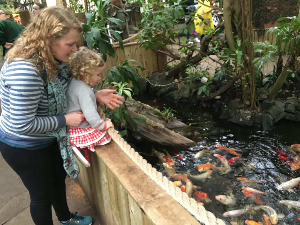 Amazonia Glasgow With Kids