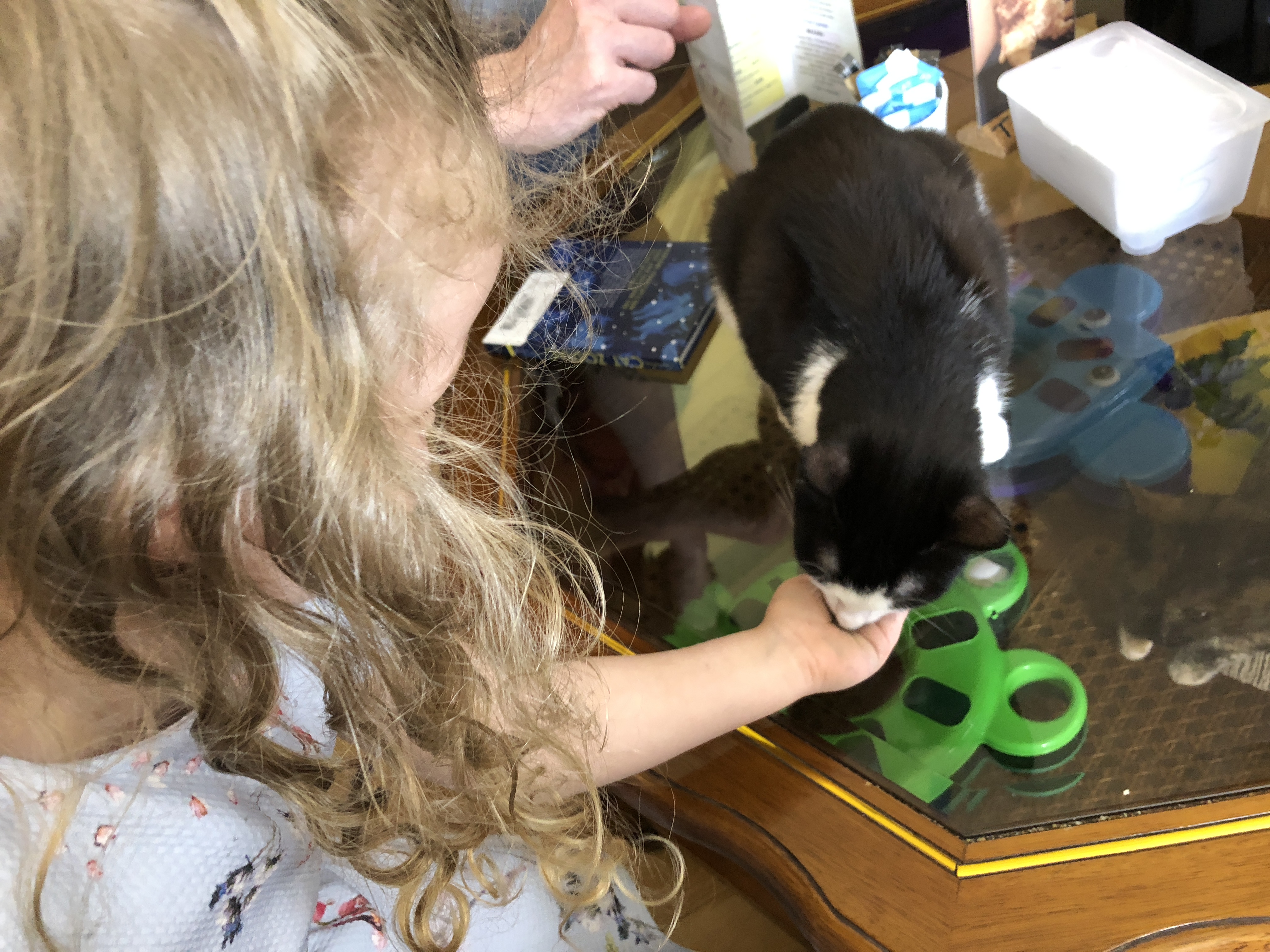 Purrple Cat Cafe Glasgow With Kids