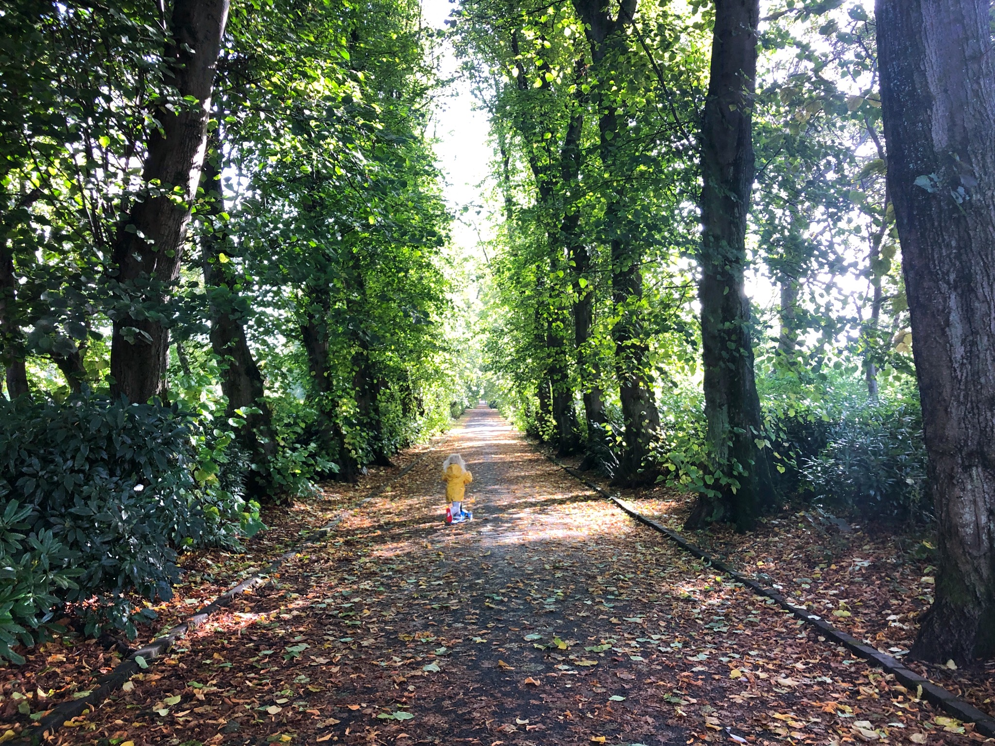 thingstodoinautumninglasgowwithkids Glasgow With Kids