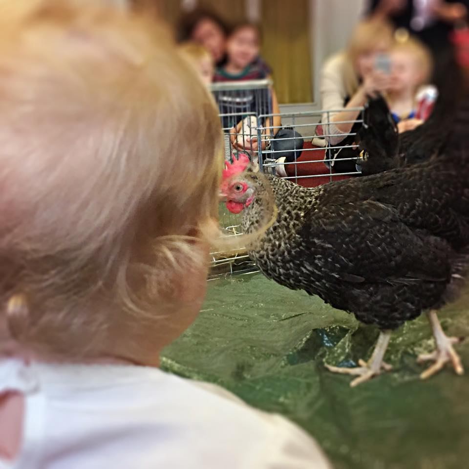zoo-tots-toddler-class-glasgow