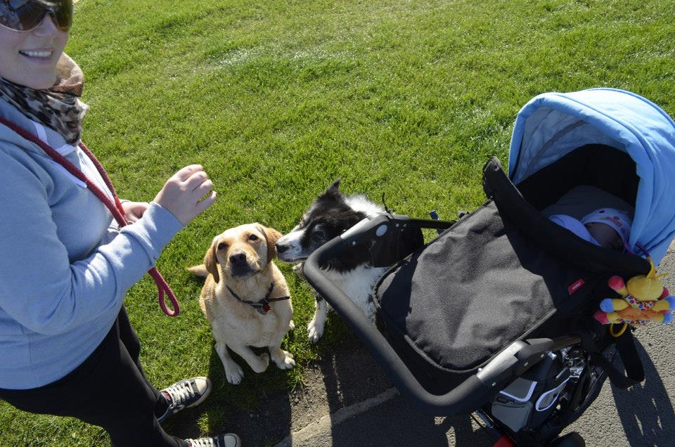 walks-in-the-park-with-baby-and-dogs