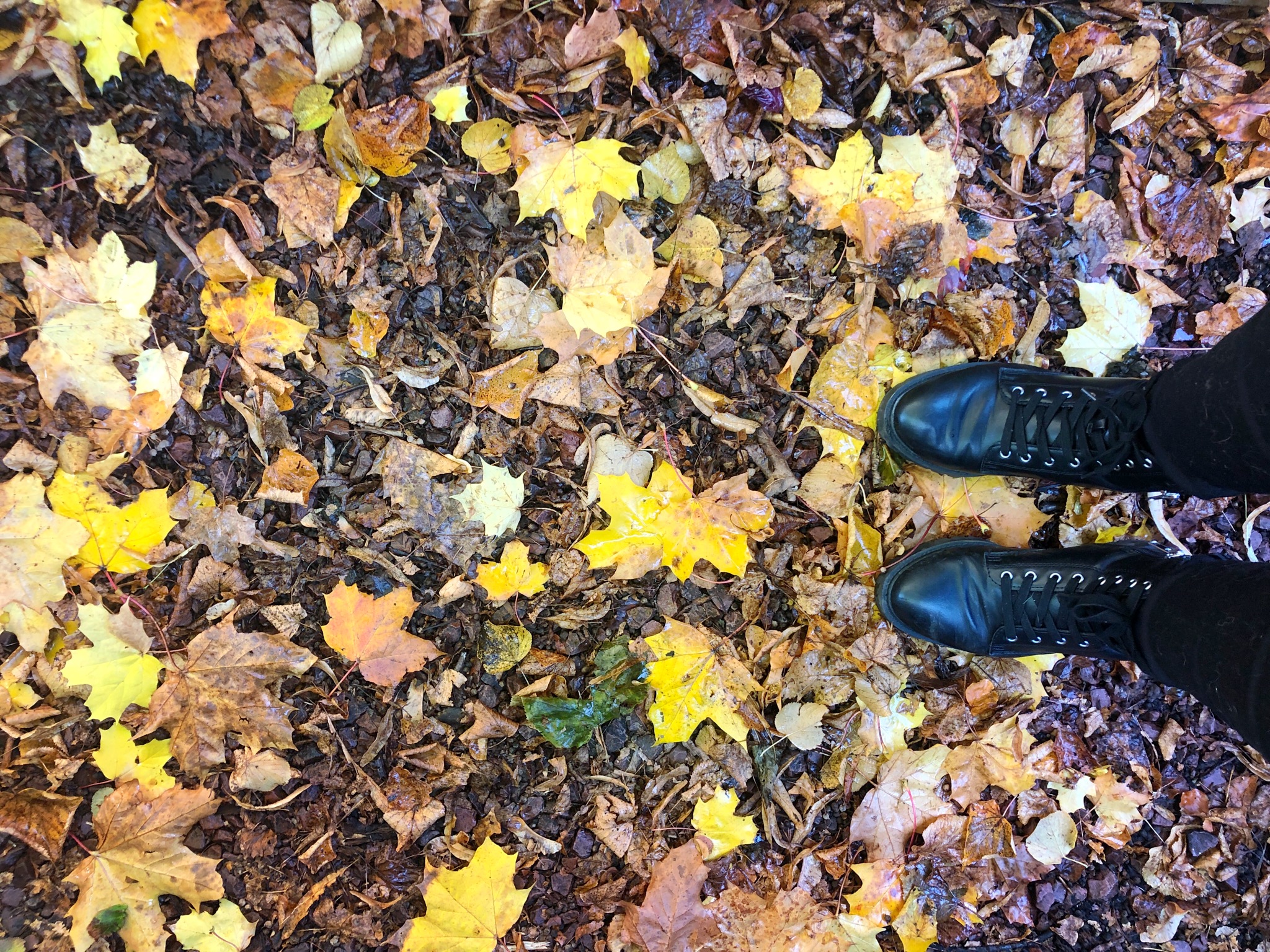 thingstodoinautumninglasgow Glasgow With Kids