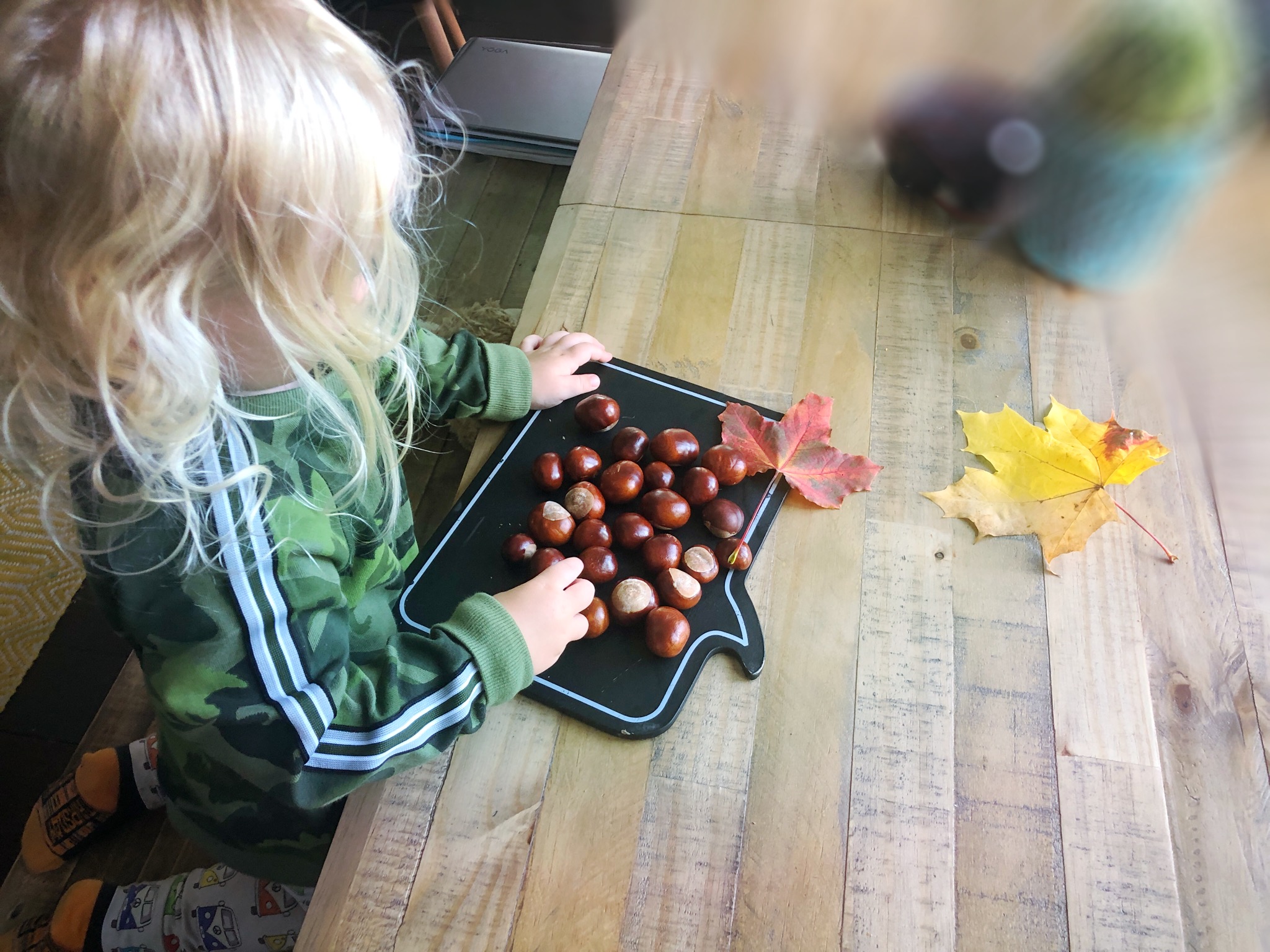 thingstodoinglasgowinautumn Glasgow With Kids